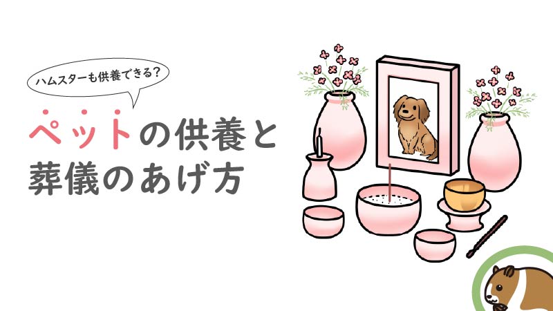 ハムスターも供養できる?ペットの供養と葬儀のあげ方